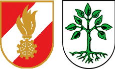 Wappen Freiwillige Feuerwehr Großarl